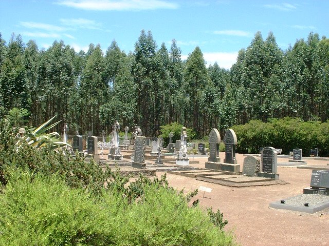 5. Overview