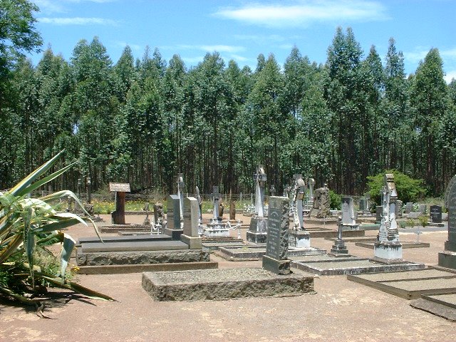 6. Overview