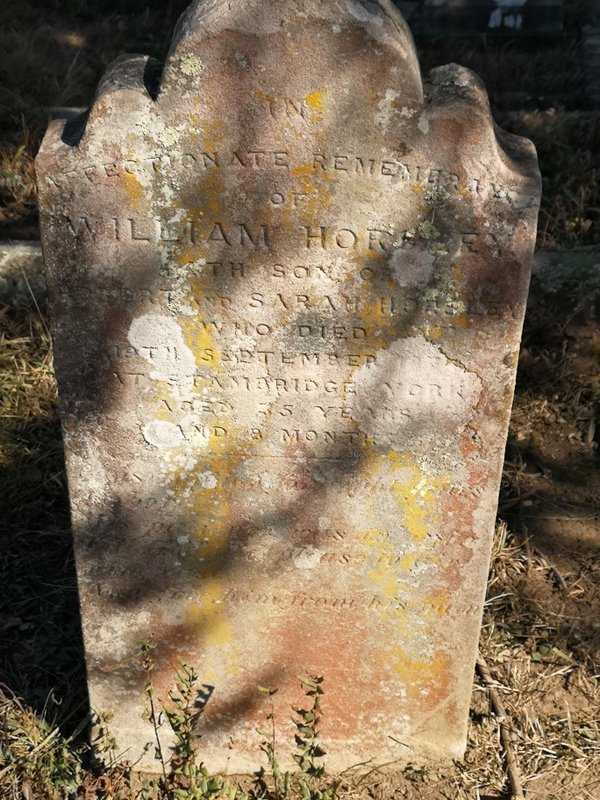 HORSLEY William