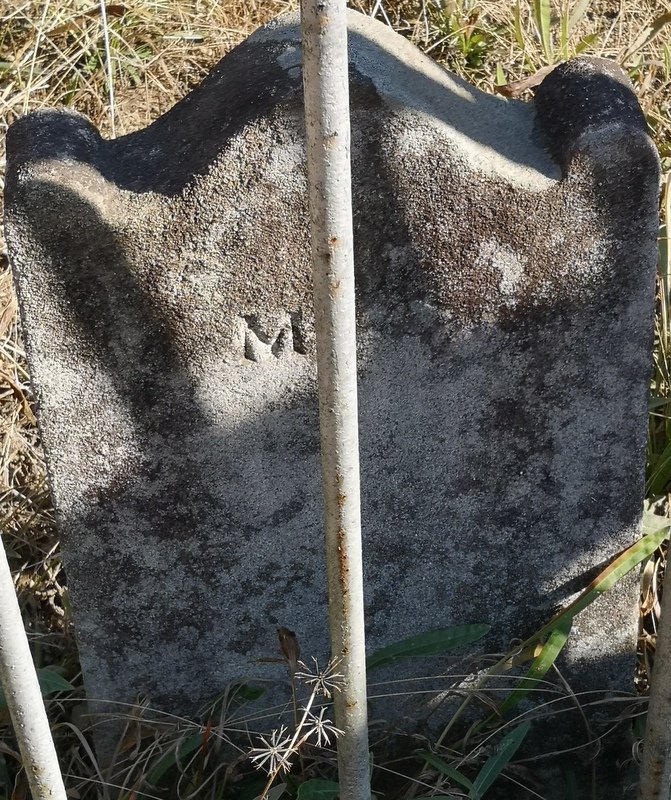 M ?