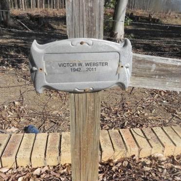 WEBSTER graves