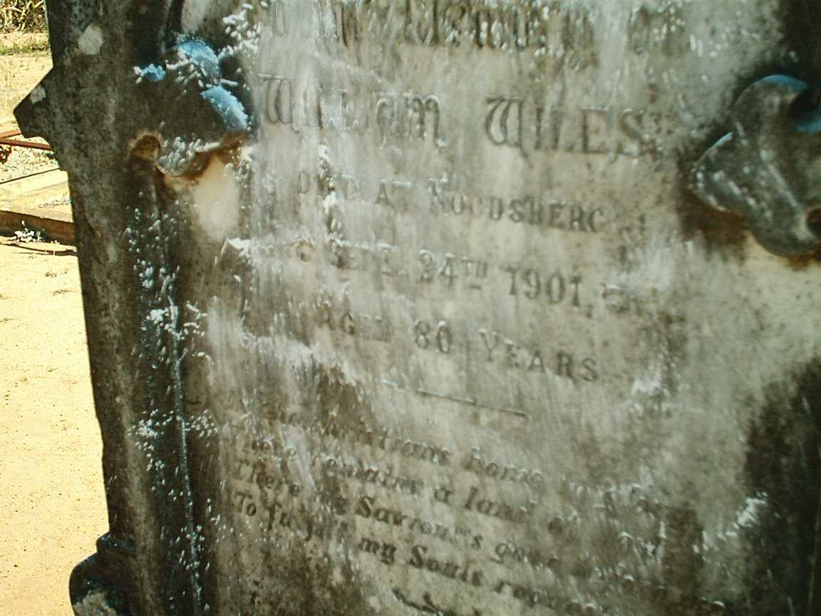 WILES William -1901