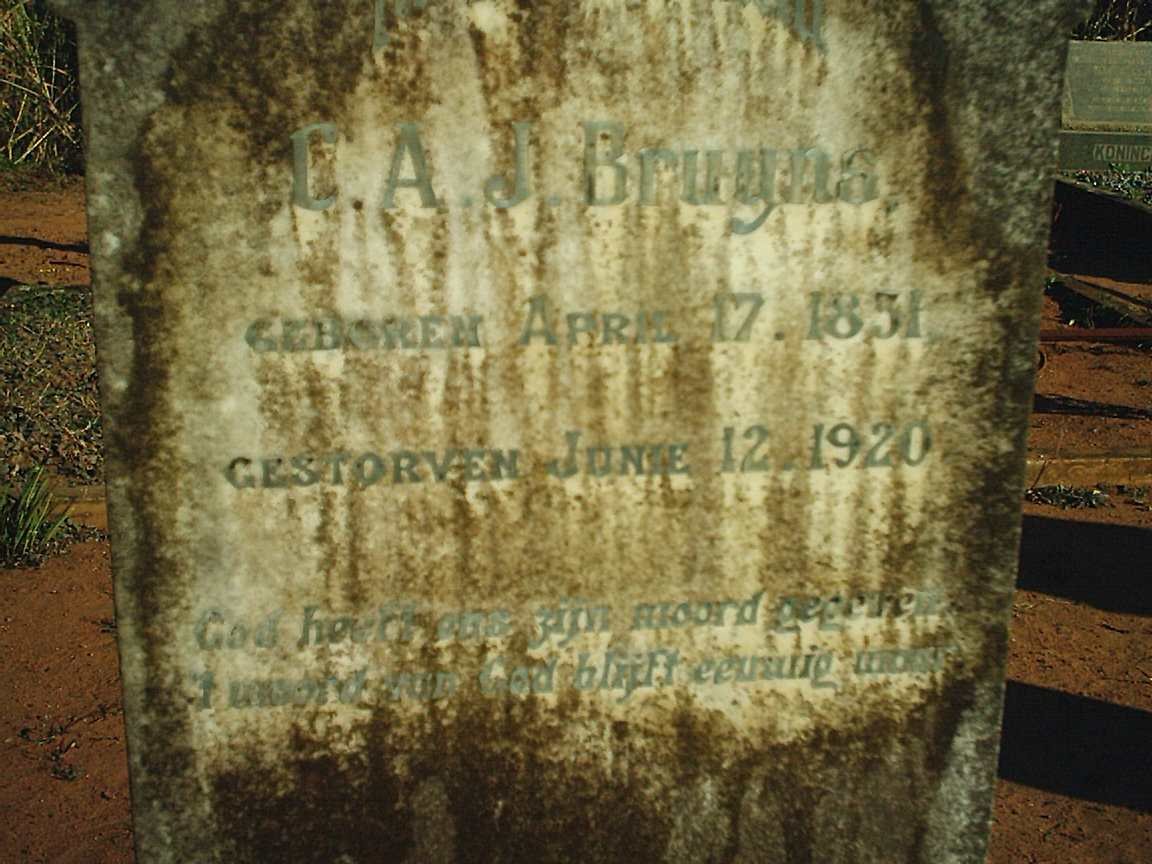 BRUYNS Cornelius Andries Johannes 1851-1920