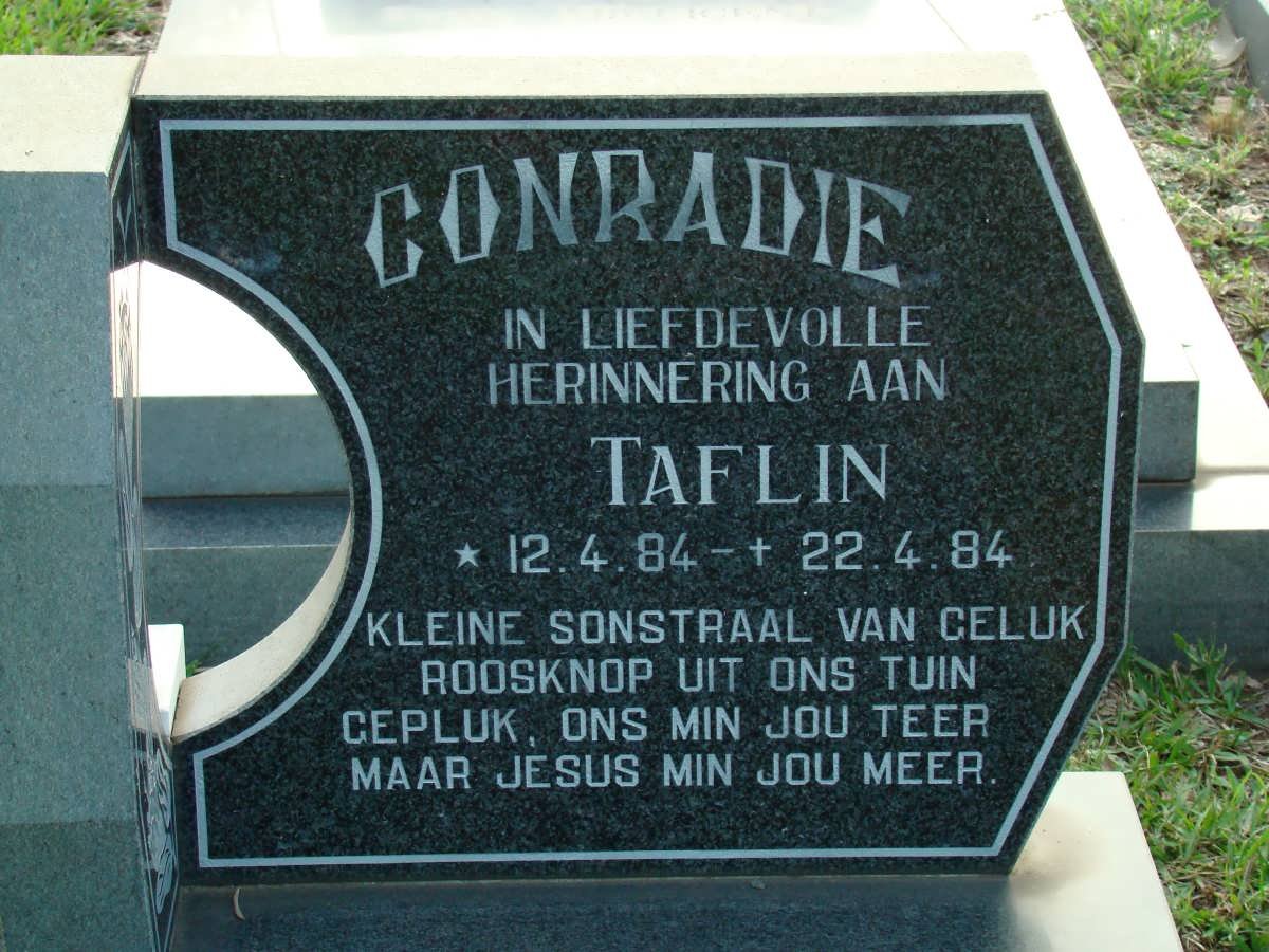CONRADIE Taflin 1984-1984