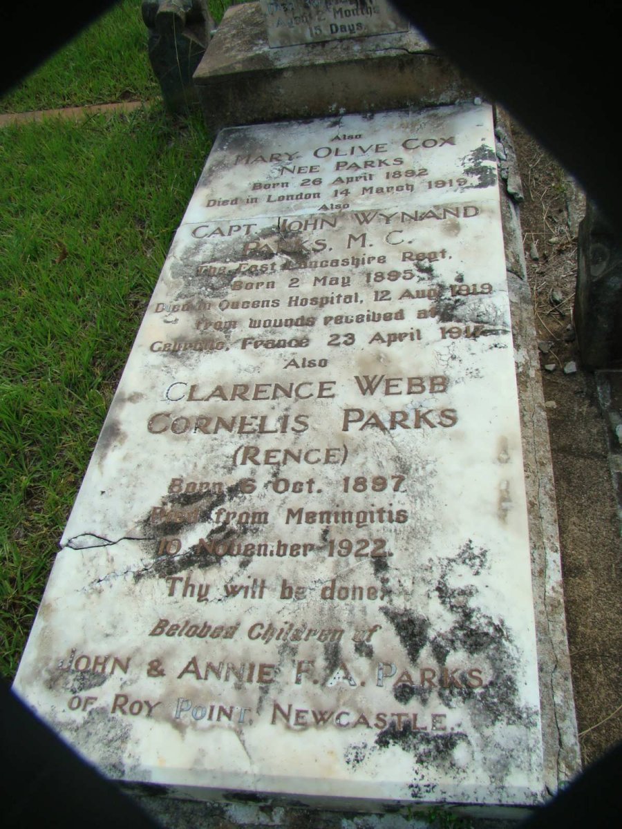 COX Mary Olive nee PARKS 1892-1919 :: PARKS John Wynand 1895-1919 :: PARKS Clarence Webb Cornelis 1897-1922