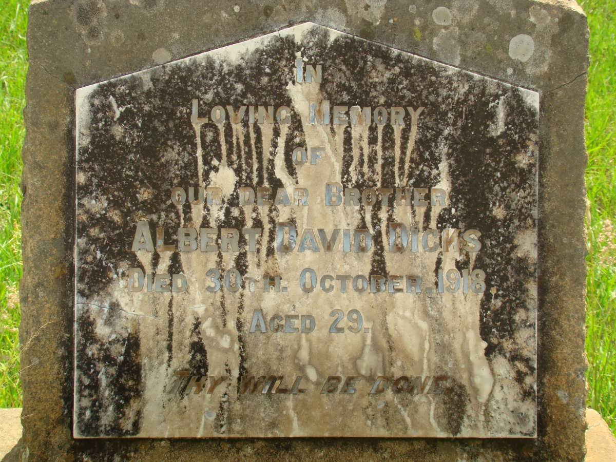DICKS Albert David -1918