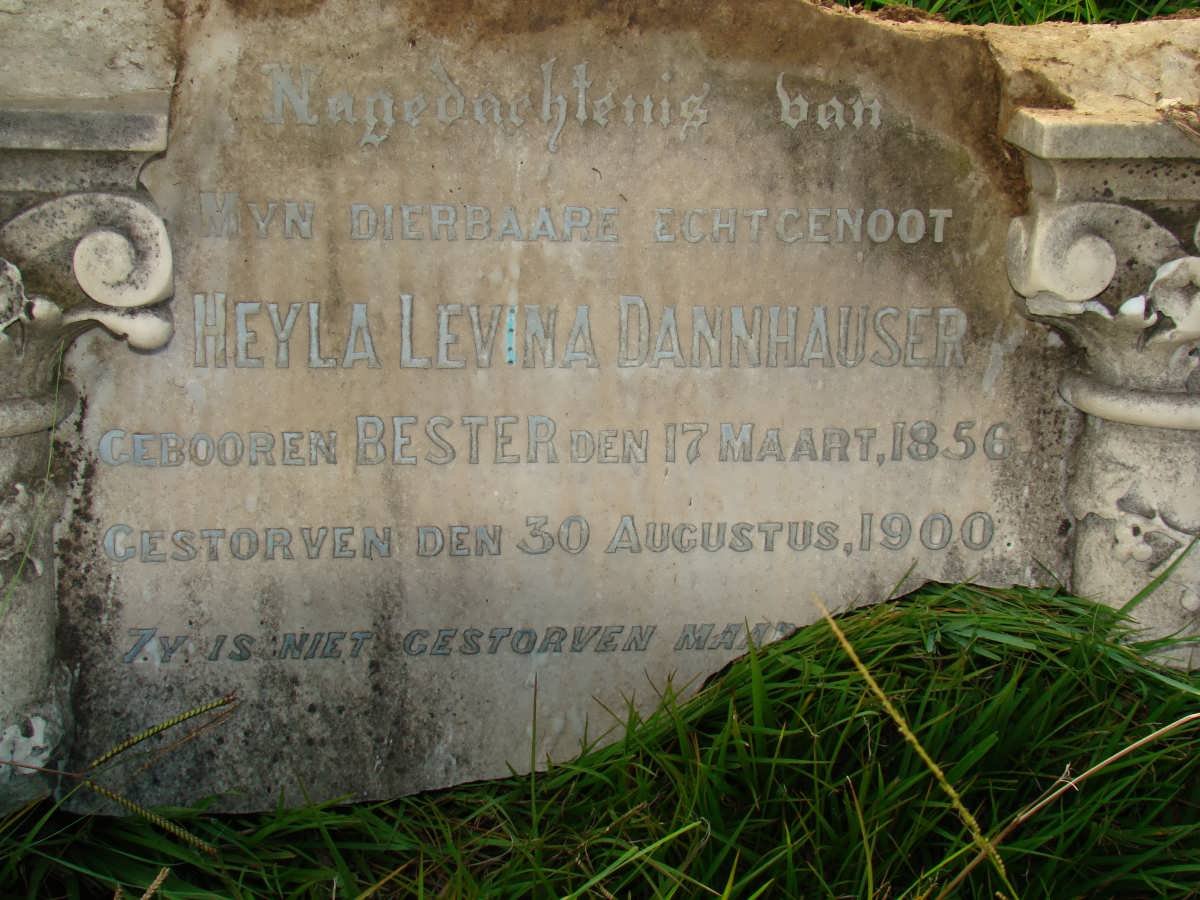 DANNHAUSER Heyla Levina nee BESTER 1856-1900