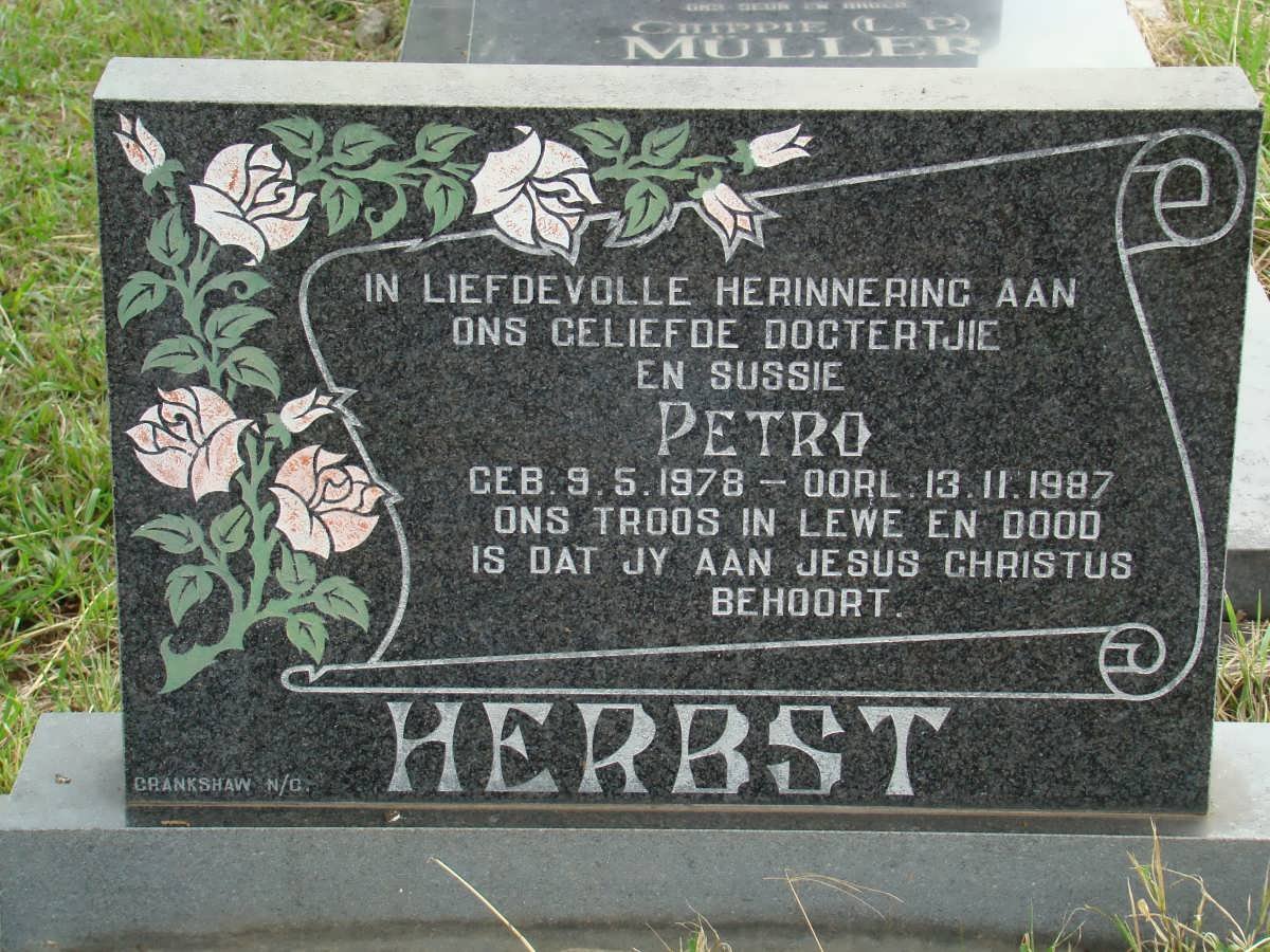 HERBST Petro 1978-1987