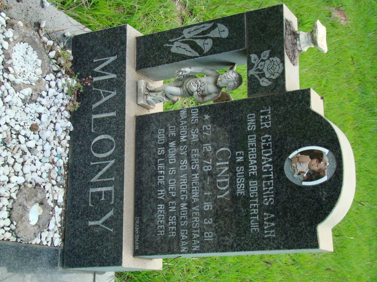 MALONEY Cindy 1978-1981
