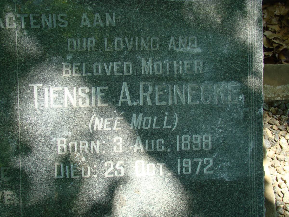REINECKE Tiensie A. nee MOLL 1898-1972