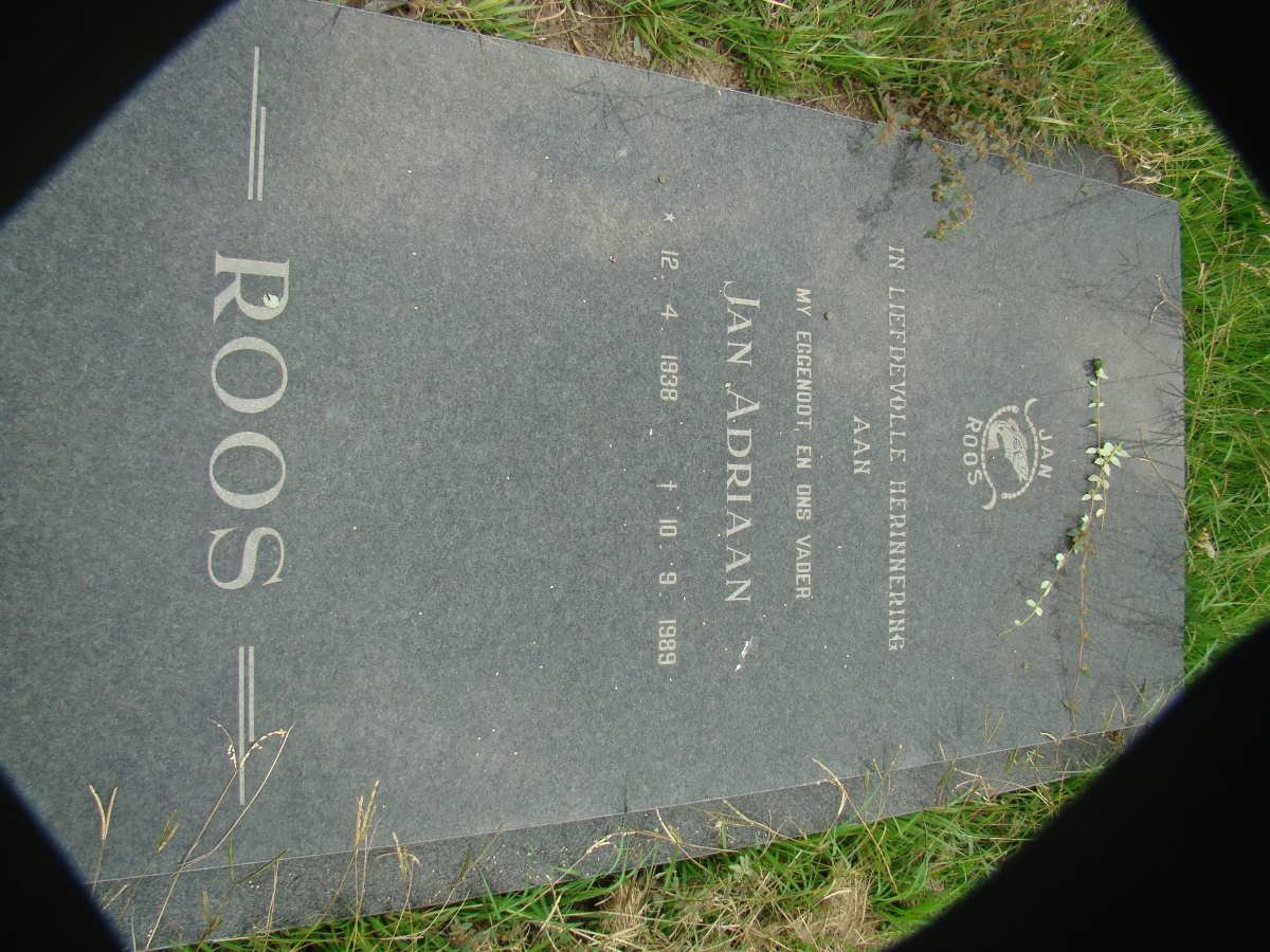 ROOS Jan Adriaan 1938-1989