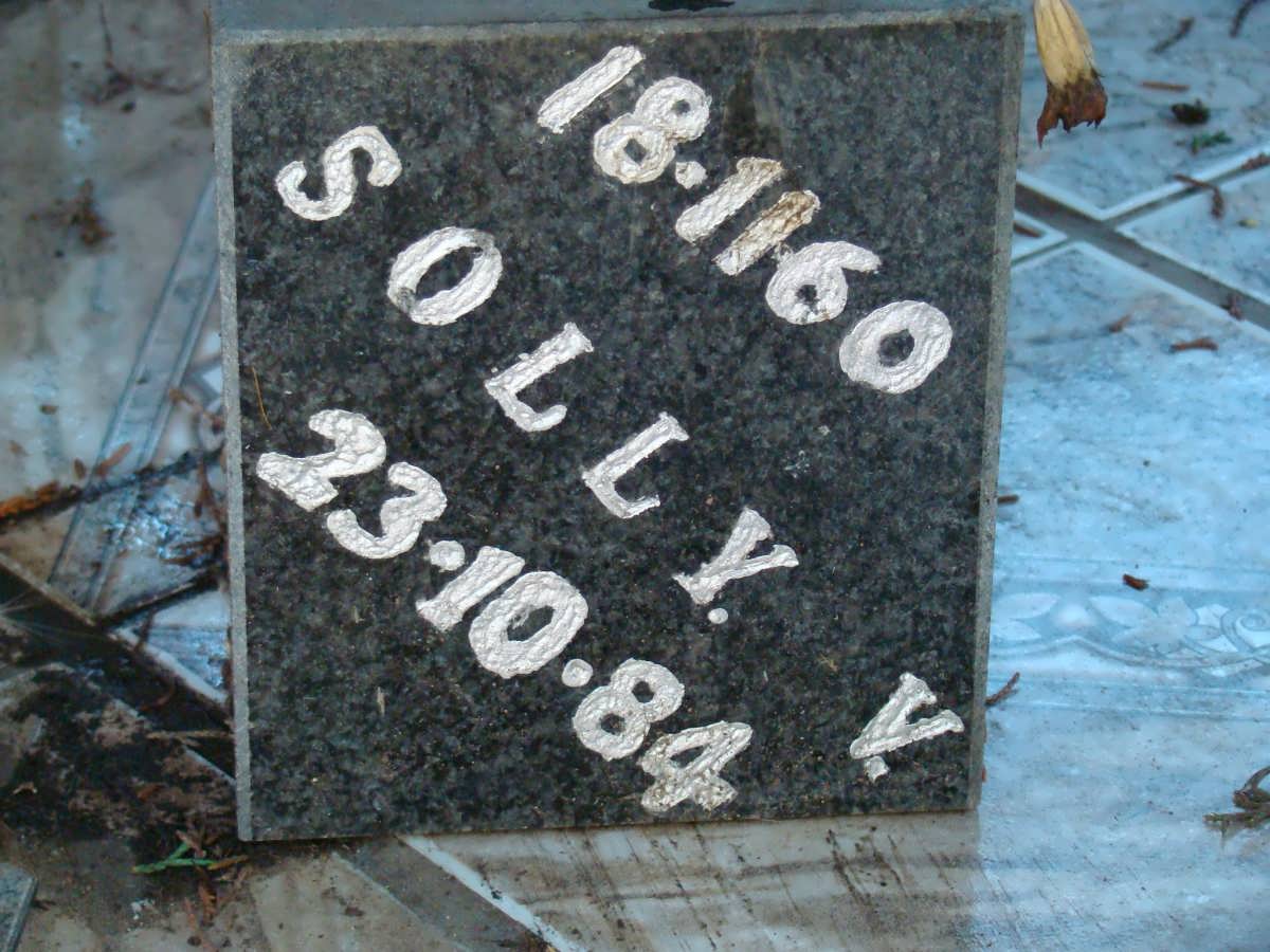 ? Solly V. 1960-1984