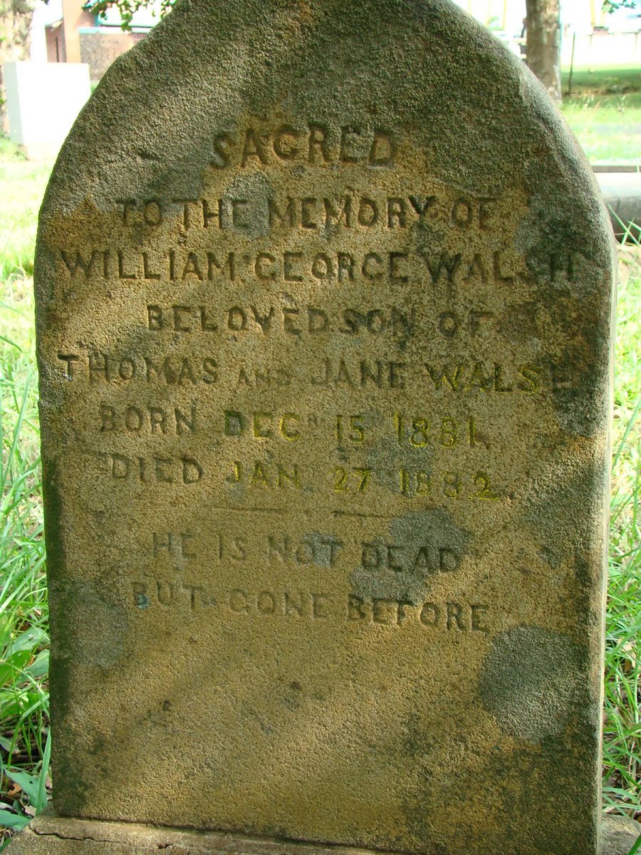 WALSH William George 1881-1882