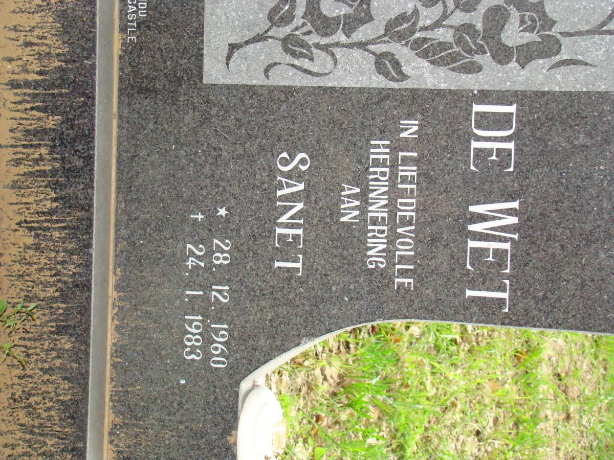 WET Sanet, de 1960-1983
