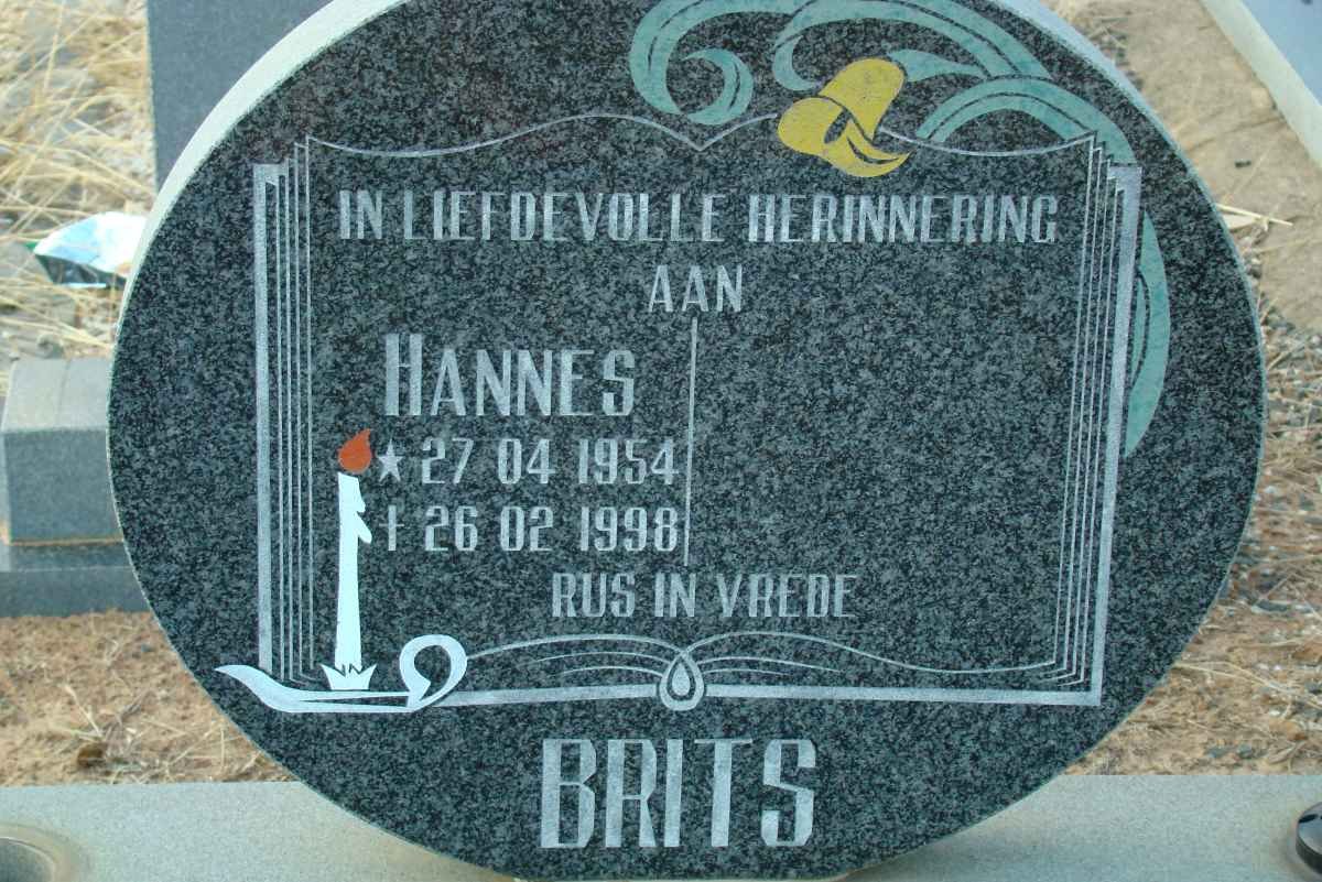 BRITS Hannes 1954-1998