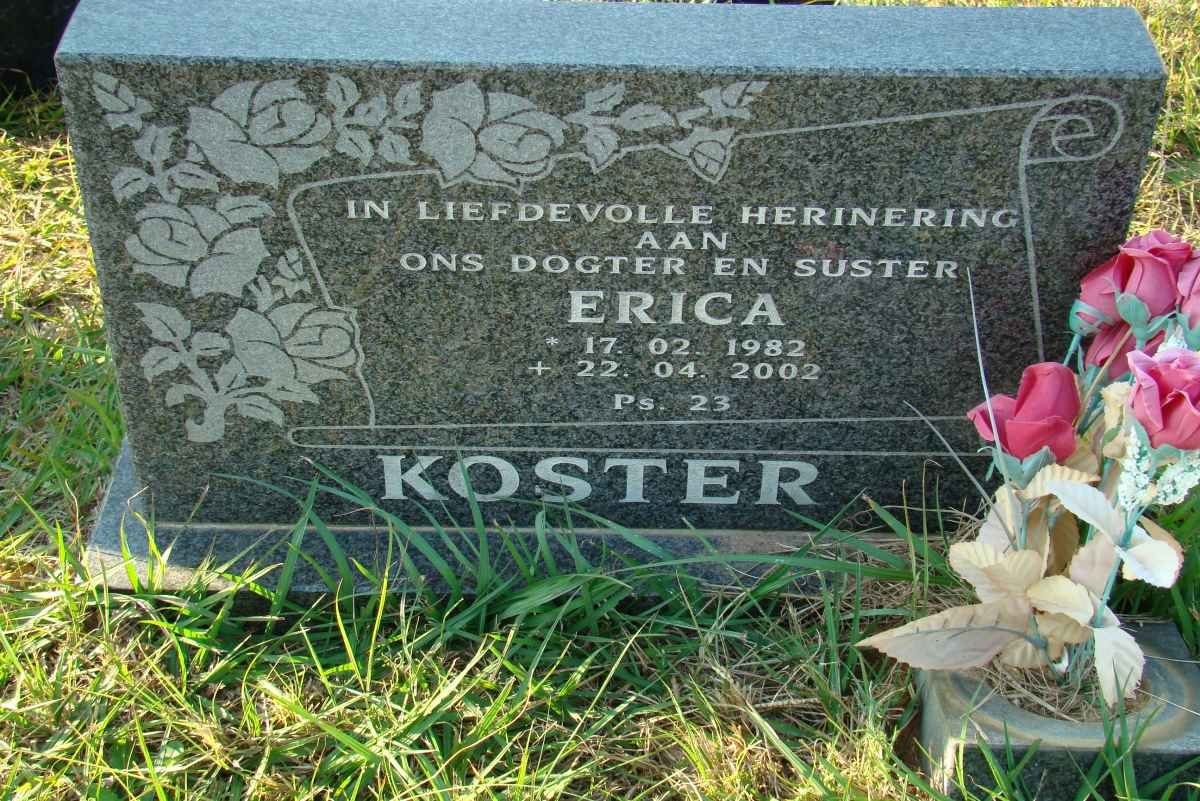 KOSTER Erica 1982-2002