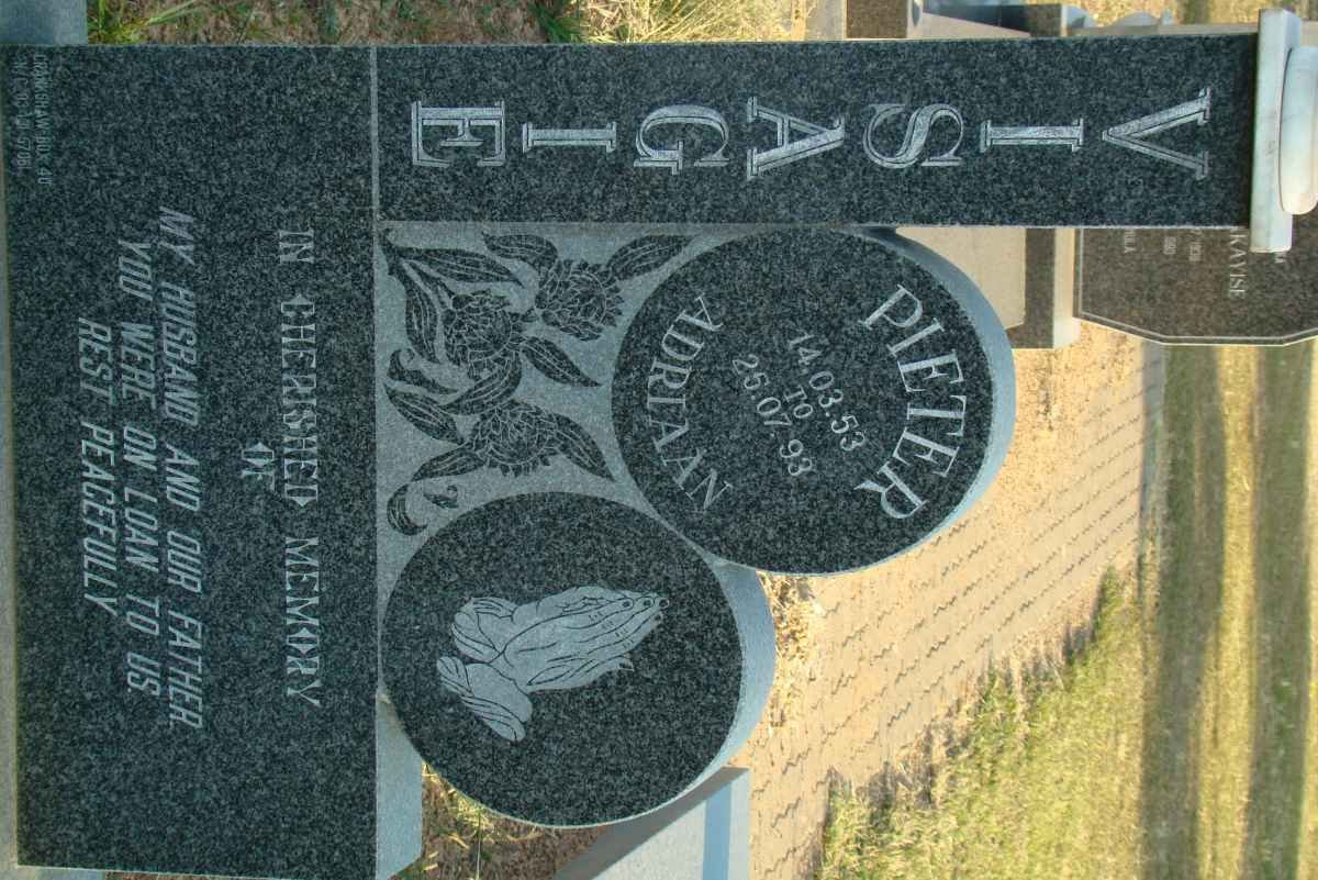 VISAGIE Pieter Adriaan 1953-1993