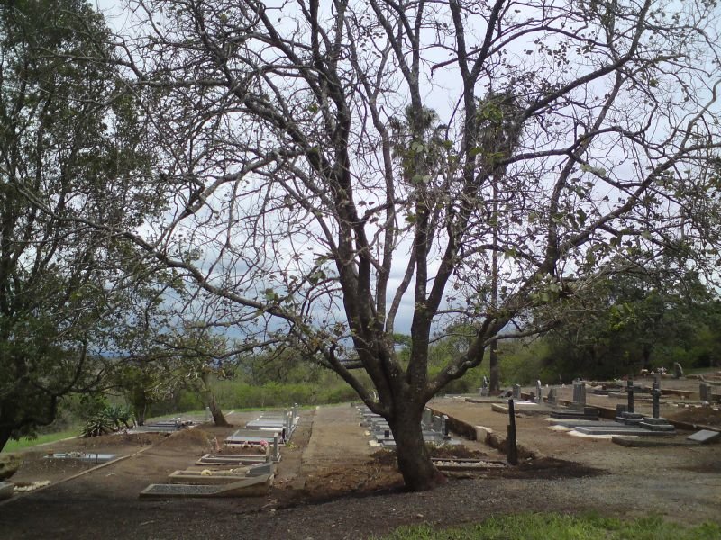 2. Overview