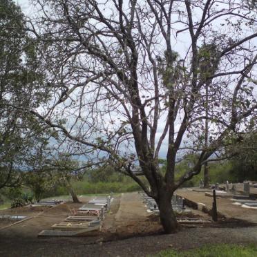 2. Overview