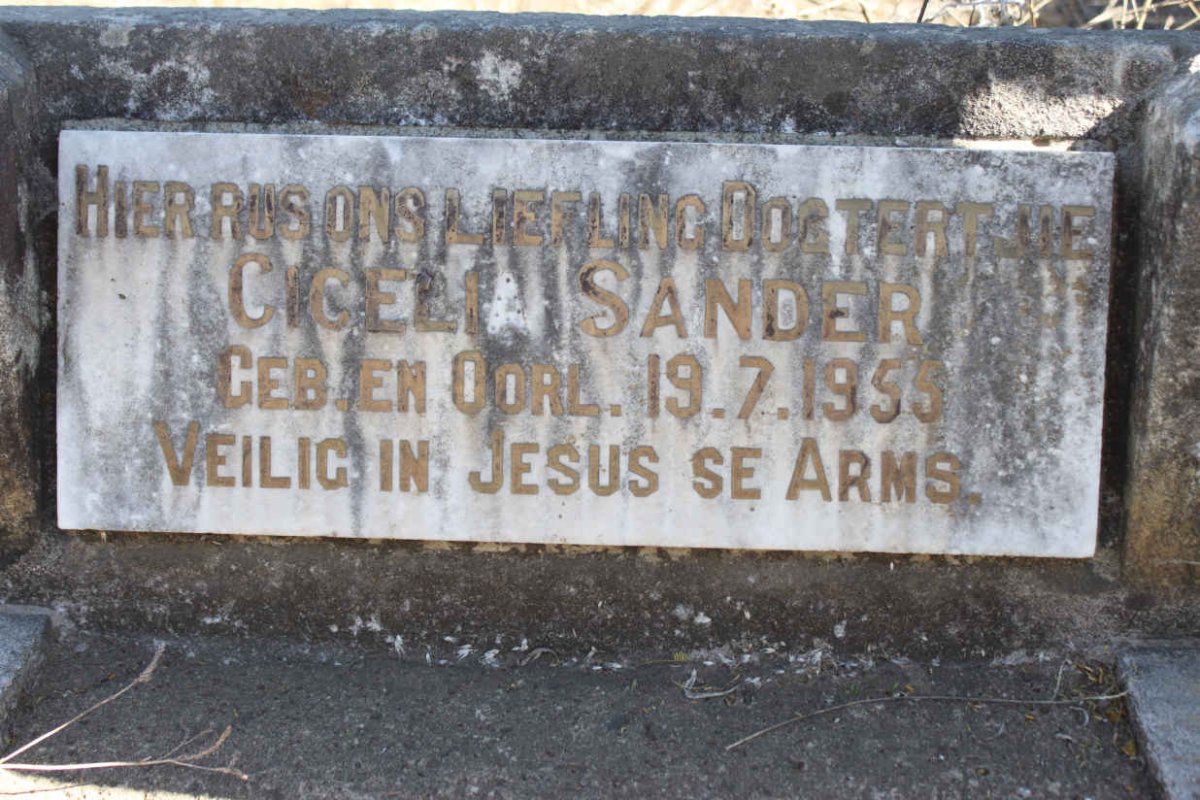 SANDER Cicelia 1955-1955