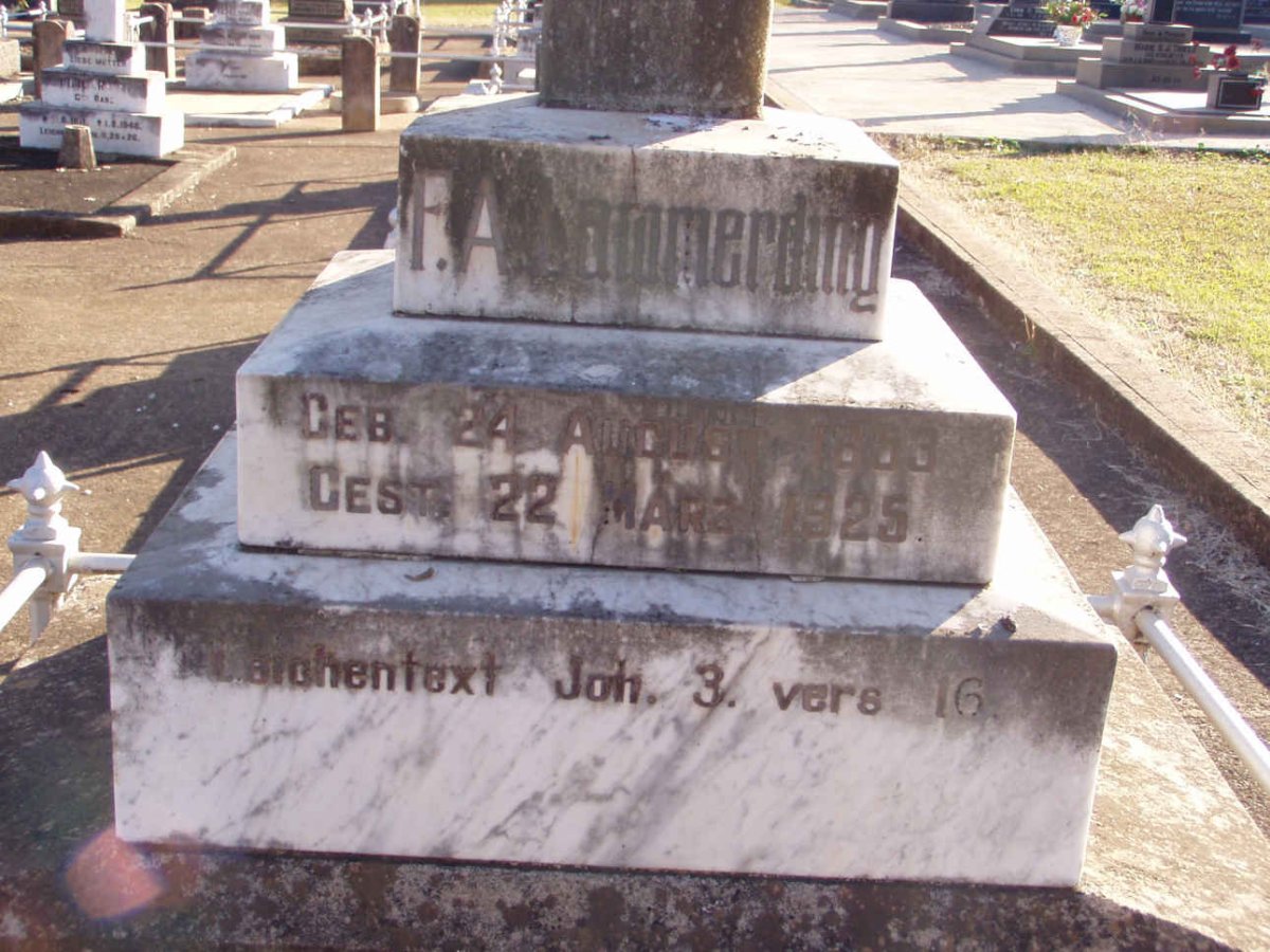 LAMMERDING F.A. 1883-1925