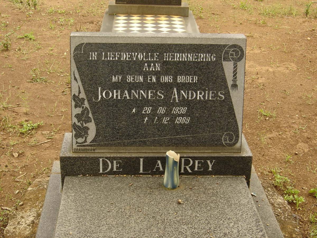 REY Johannes Andries, de la 1938-1989