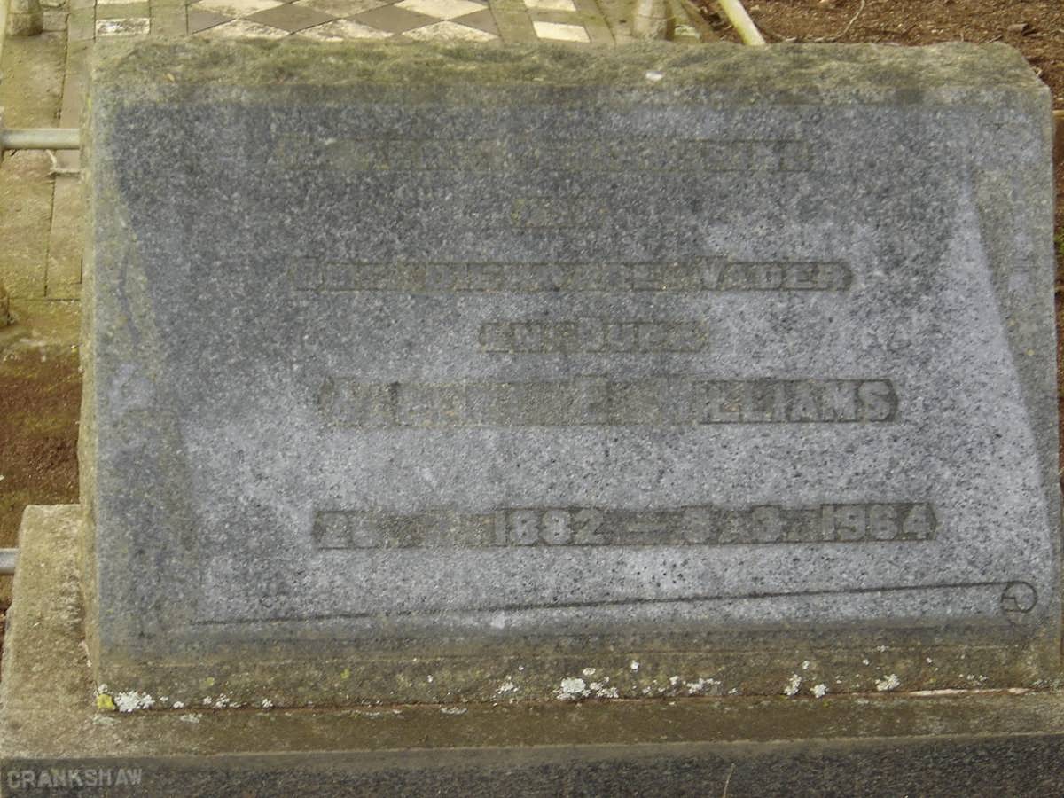 WILLIAMS Albert E. 1882-1964