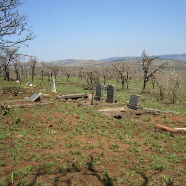 3. Overview
