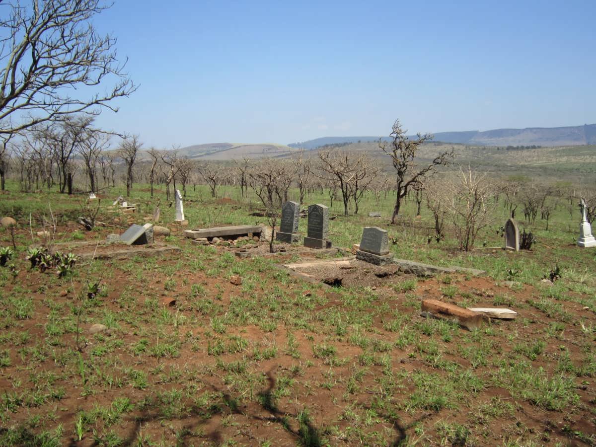 3. Overview