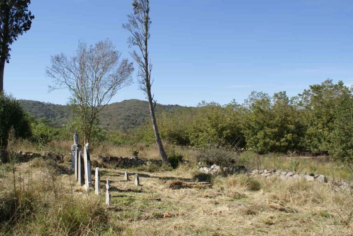 3. Overview