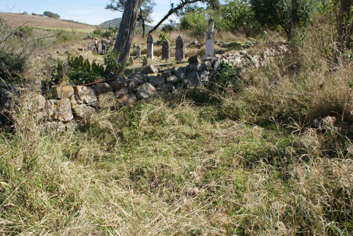 1. Overview