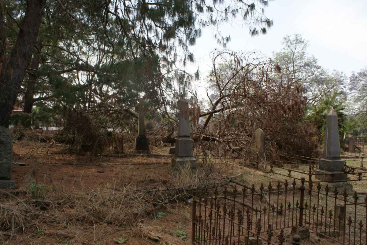 Tombstones buried under the branches