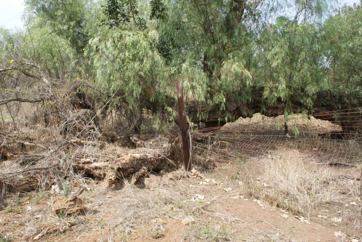 Overview on a broken fence