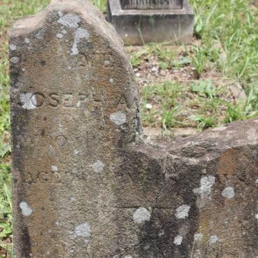 ? Joseph