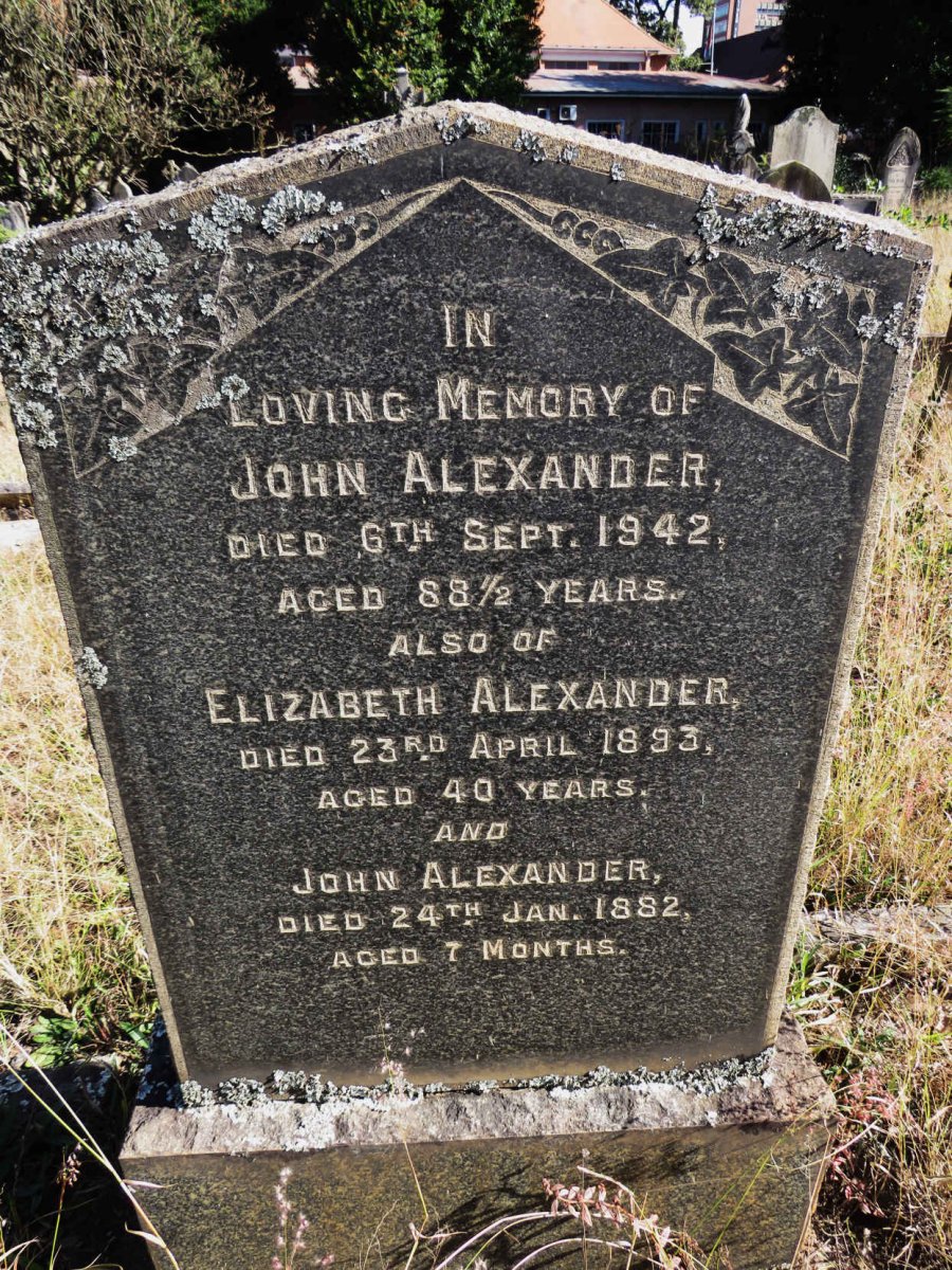 ALEXANDER John -1942 :: ALEXANDER Elizabeth -1893 :: ALEXANDER John -1882