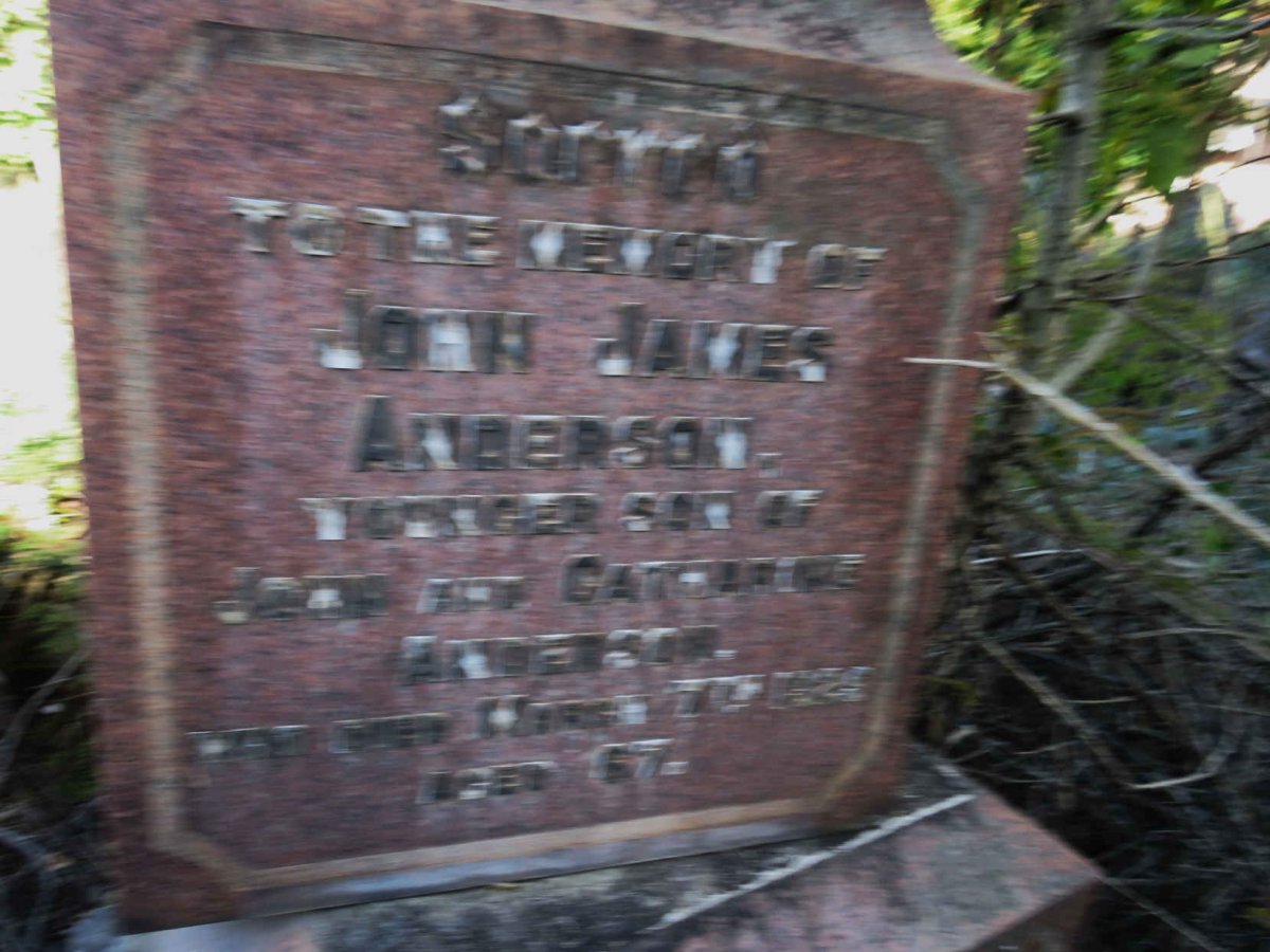 ANDERSON John James -1925