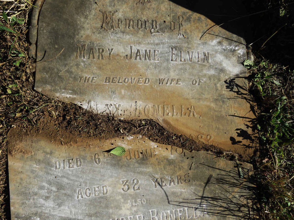 BONELLA Alexander -1902 & Mary Jane Elvin -1882 :: BONELLA Agnes Mary -1903 _1
