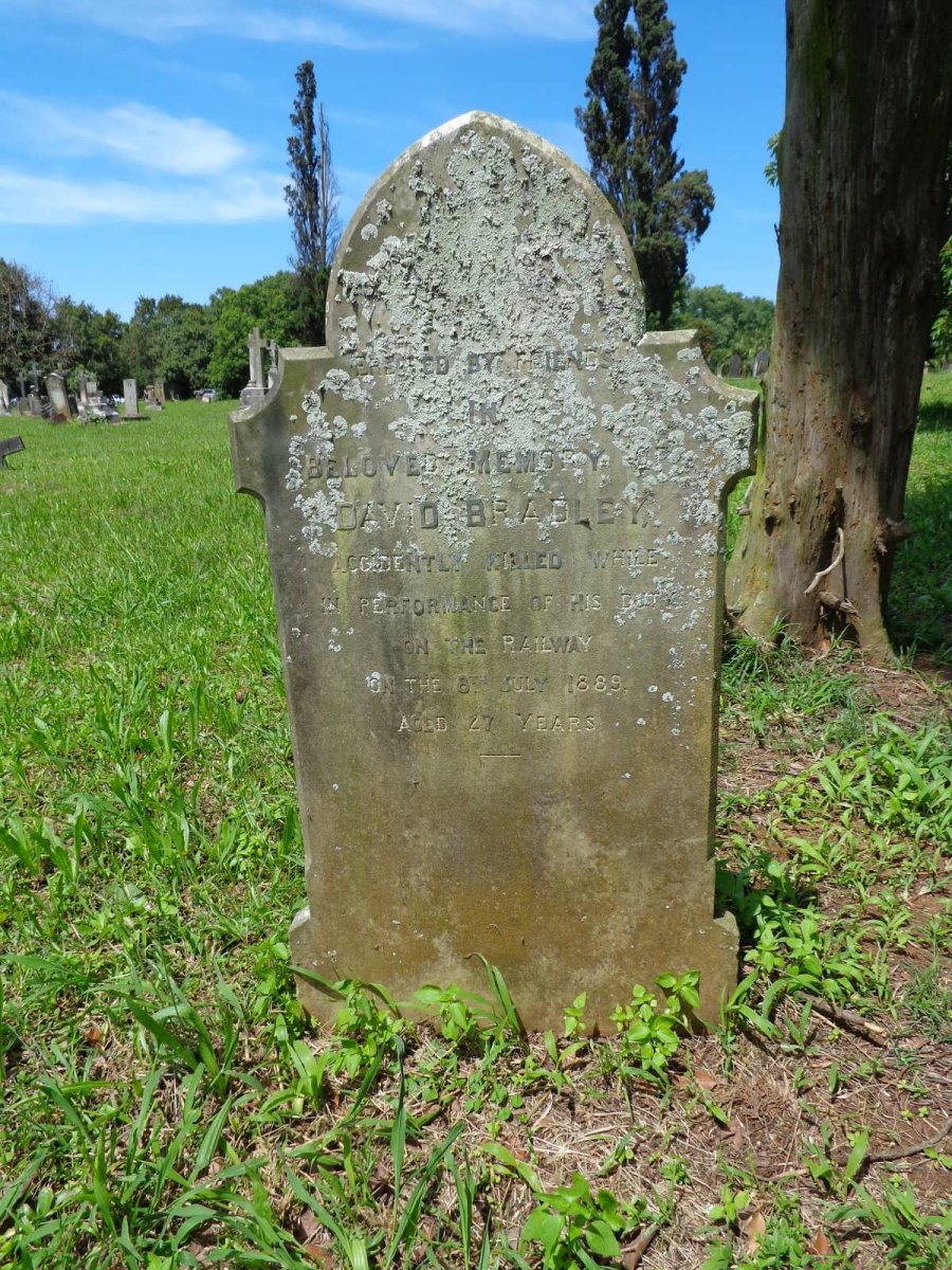BRADLEY David -1889