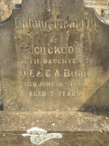 BURN Cuckoo -1905