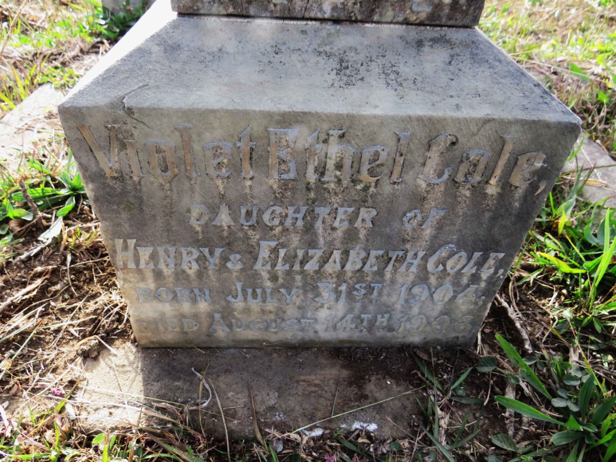 COLE Violet Ethel 1904-1906