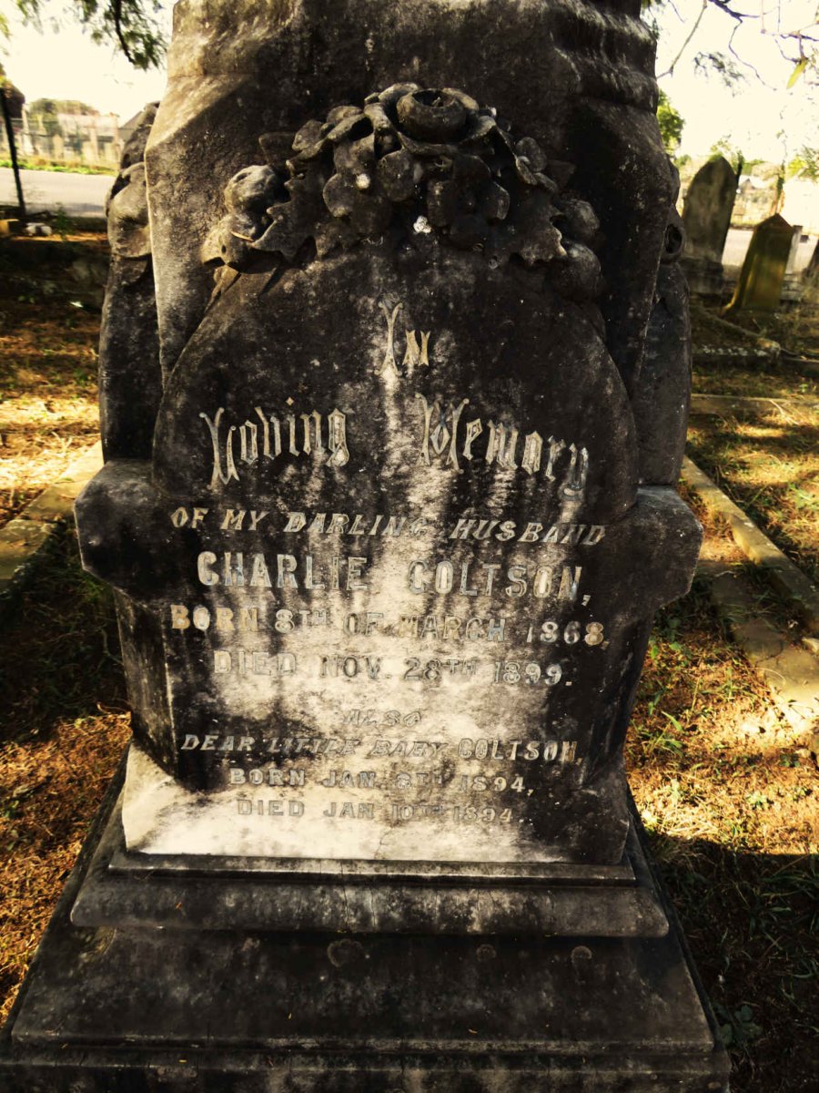 COLTSON Charlie 1868-1899 :: COLTSON 1894-1894