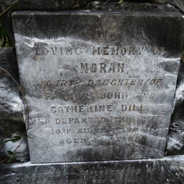 DILL Norah -1904