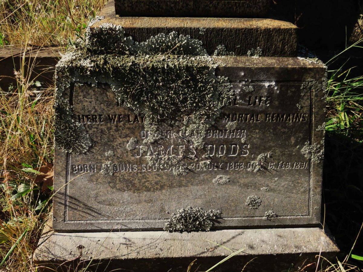 DODS James 1868-1891