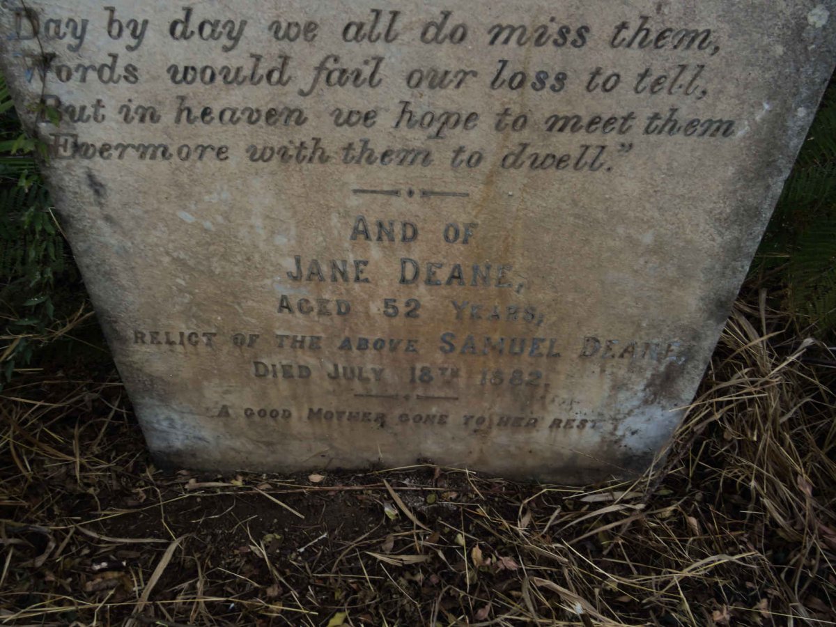 DEANE Samuel -1865 & Jane -1882 :: DEANE James -1879 _3