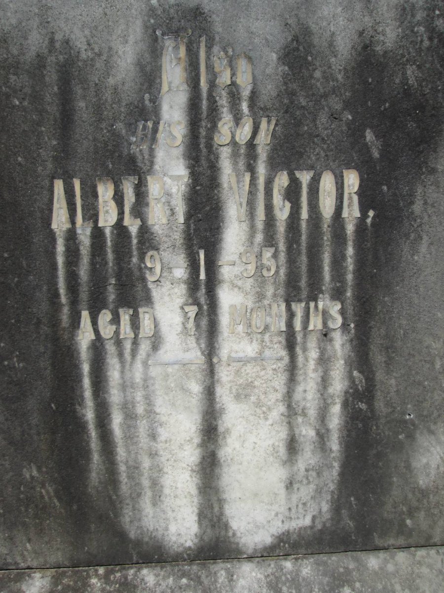 DOLPHIN Albert Victor -1895