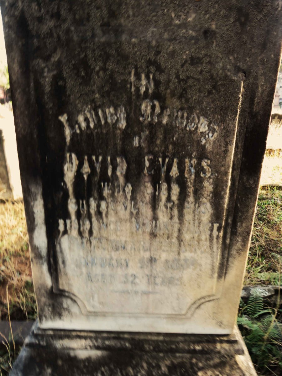 EVANS David -1889