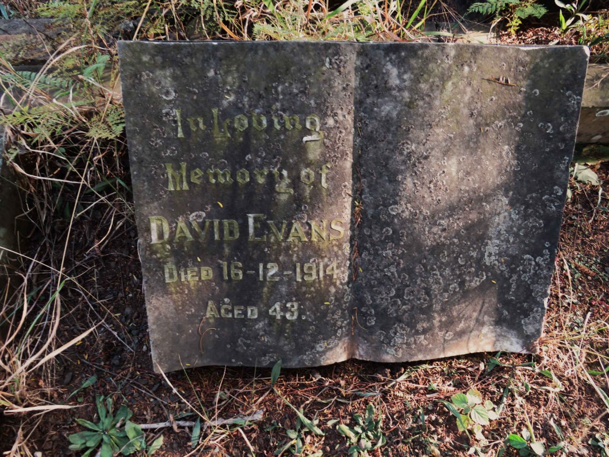 EVANS David -1914