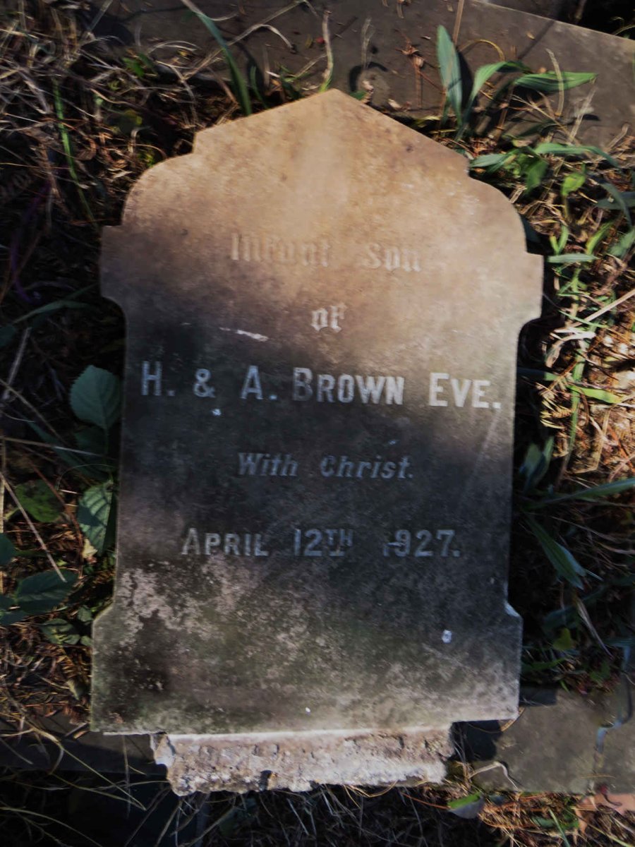EVE, BROWN -1927