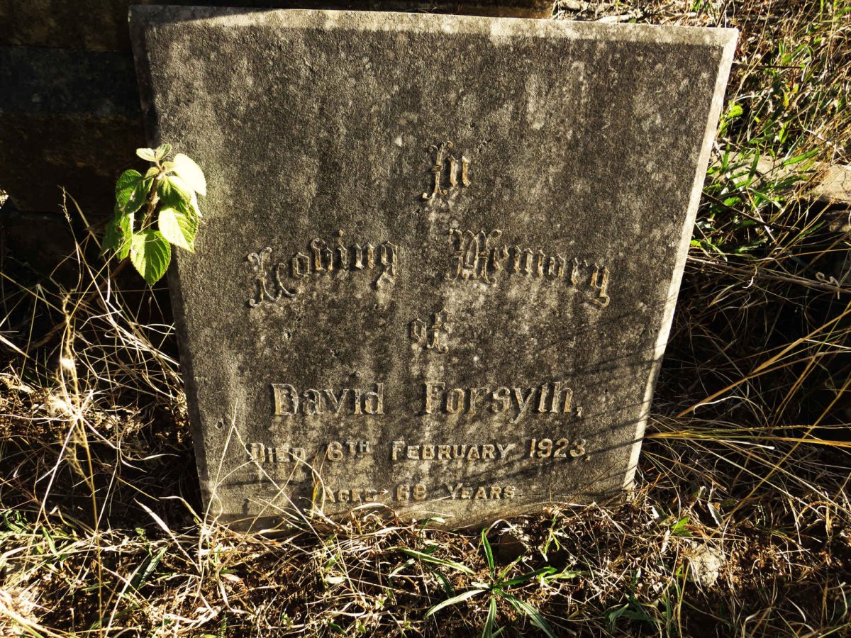 FORSYTH David -1923