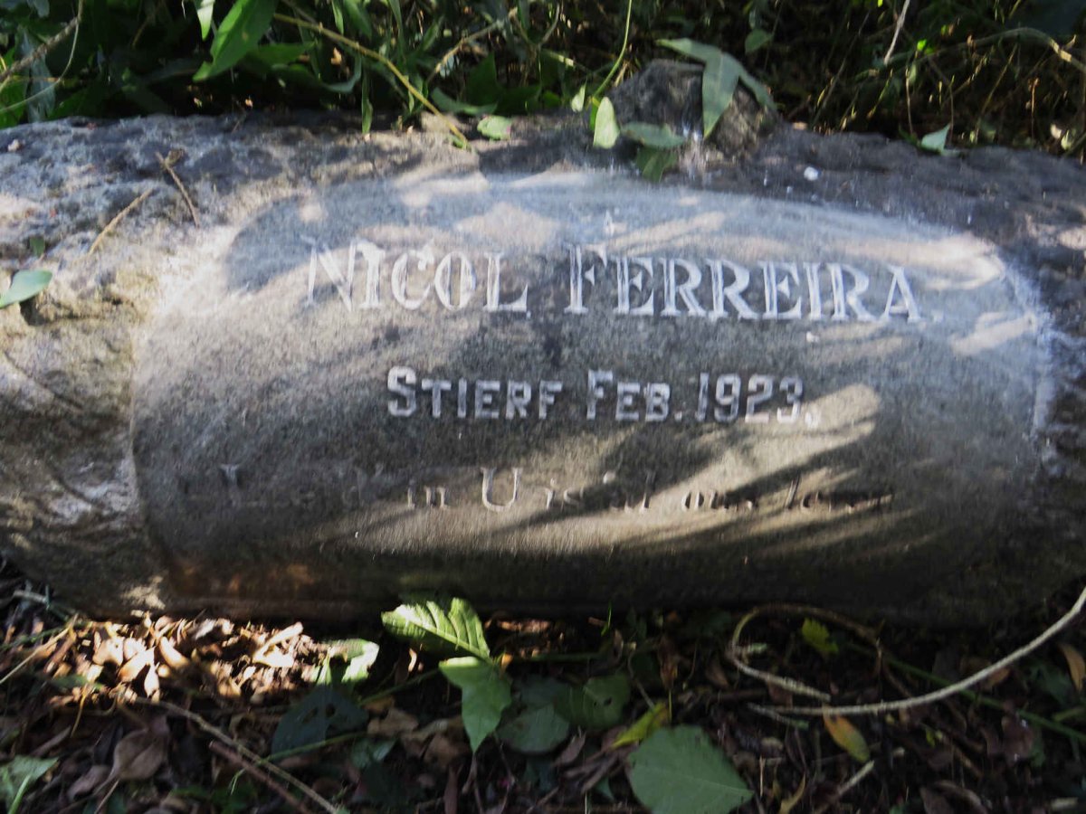FERREIRA Nicolaas Petrus Hendrik -1923